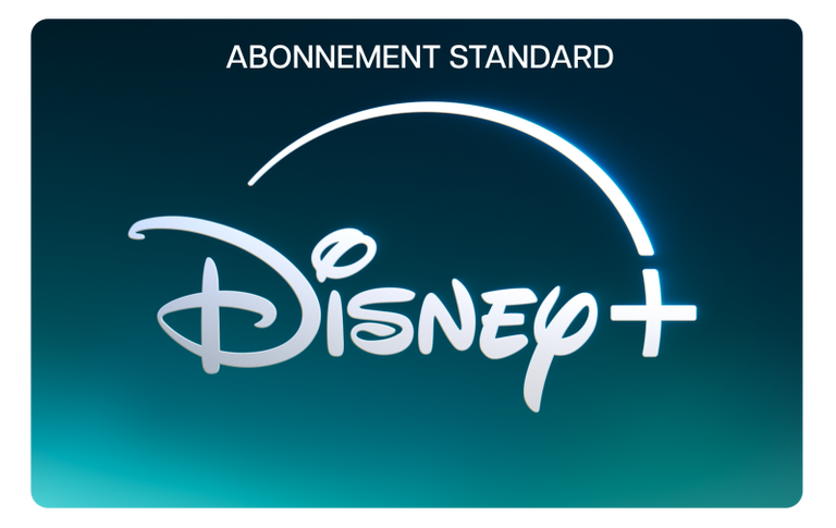 Disney+ Standard 12 mois