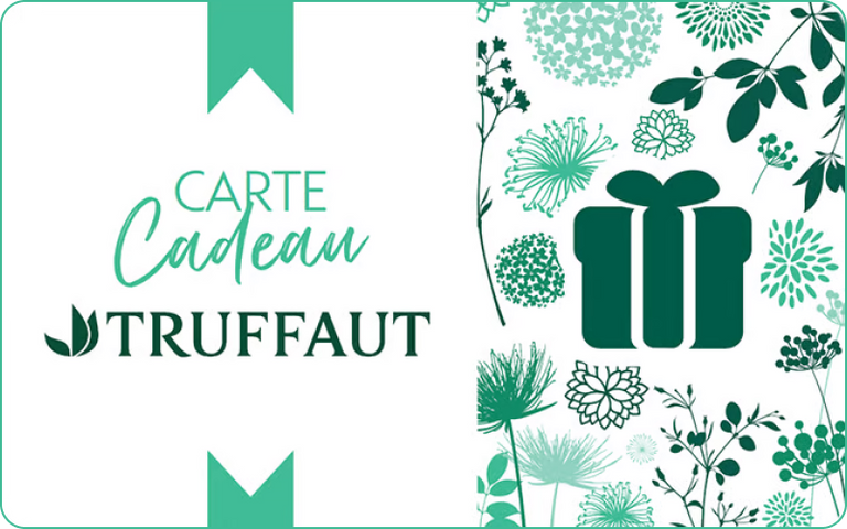 Truffaut